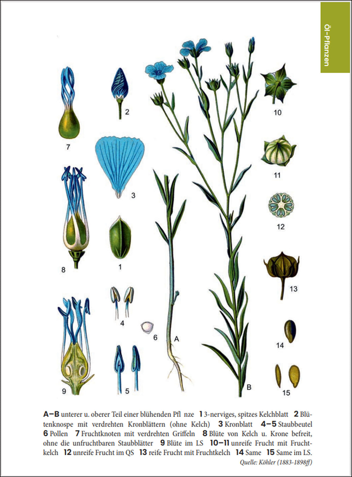 Dr. Oliver Tackenberg: Was wir essen.