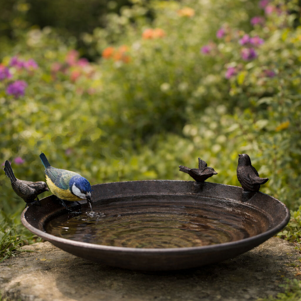 POOL Vogeltränke. PHILIPPI Design