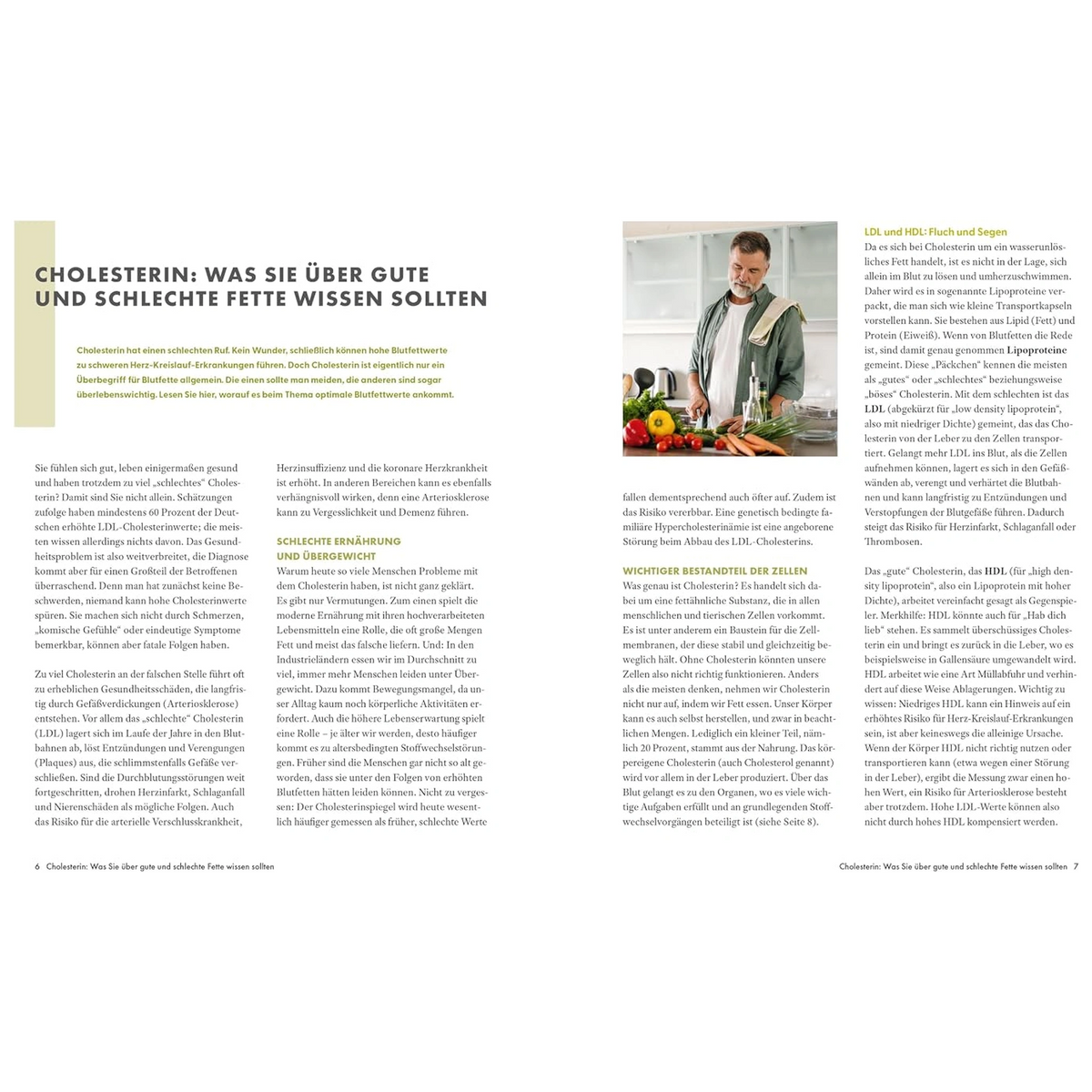 Ernährungs-Docs: Cholesterin senken – unsere 100 besten Rezepte