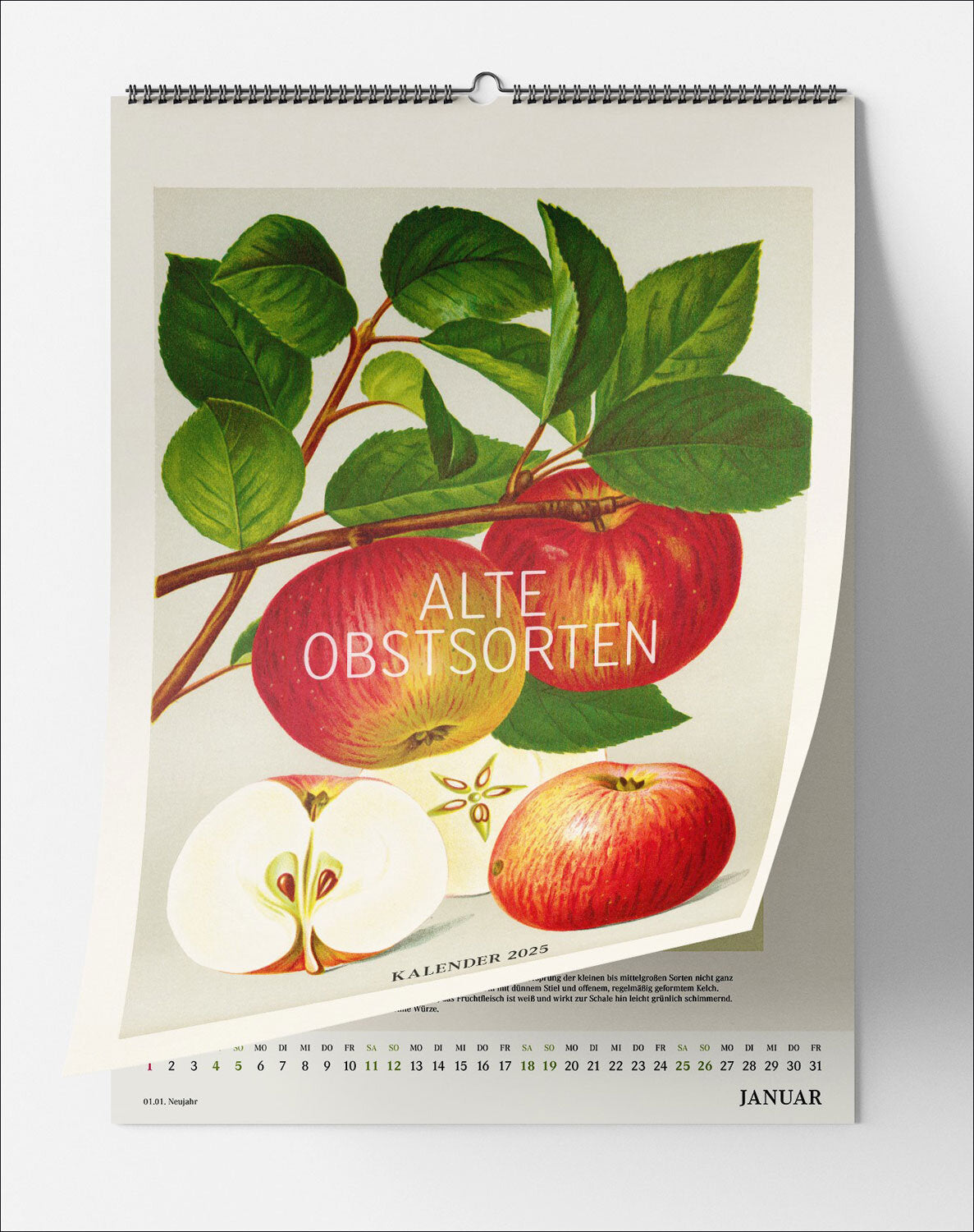 Alte Obstsorten Wandkalender 2025