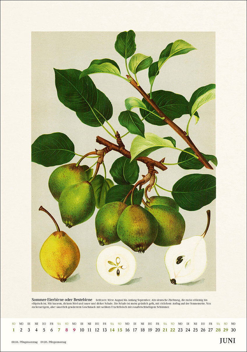 Alte Obstsorten Wandkalender 2025