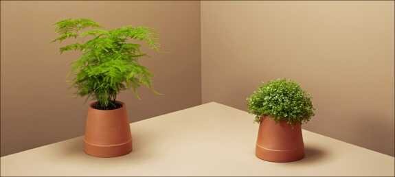 Boskke Flipped Planter