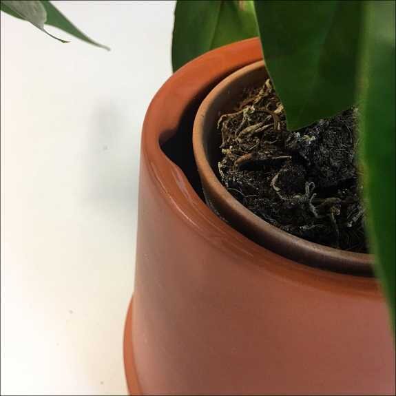 Boskke Flipped Planter