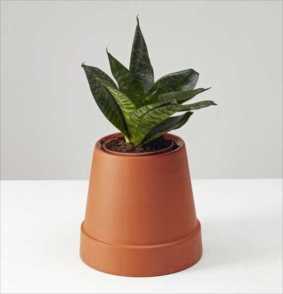 Boskke Flipped Planter