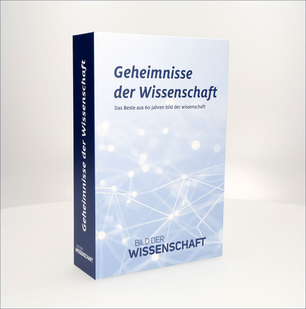 Buchsafe