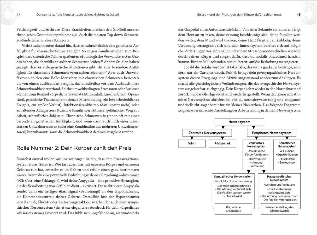 Seiten 44-45 eines Buches mit Text über Stress, Schmerz und Nervensystem, inklusive Diagramm des Nervensystems.