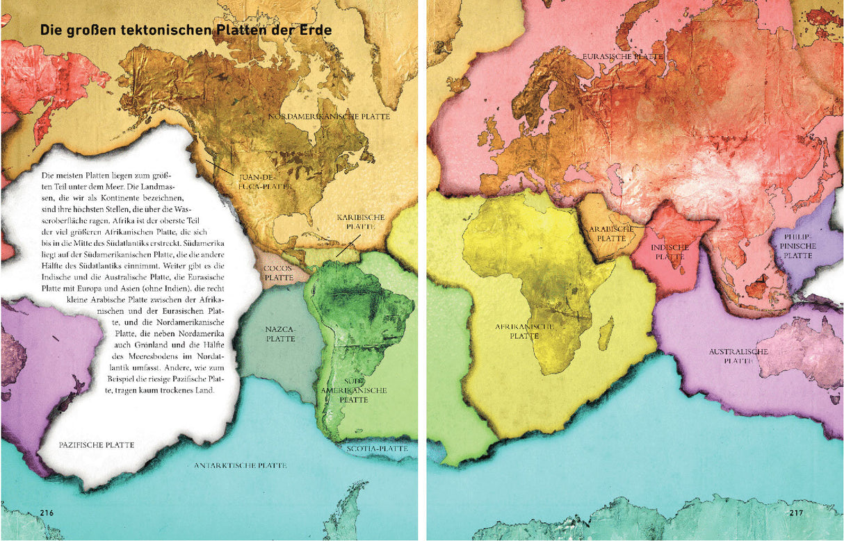 Prof. Richard Dawkins: Der Zauber der Wirklichkeit
