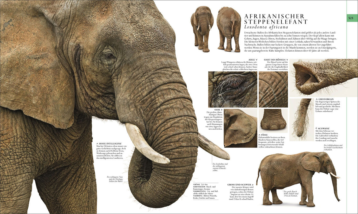 Die Natur in über 5.000 Fotos