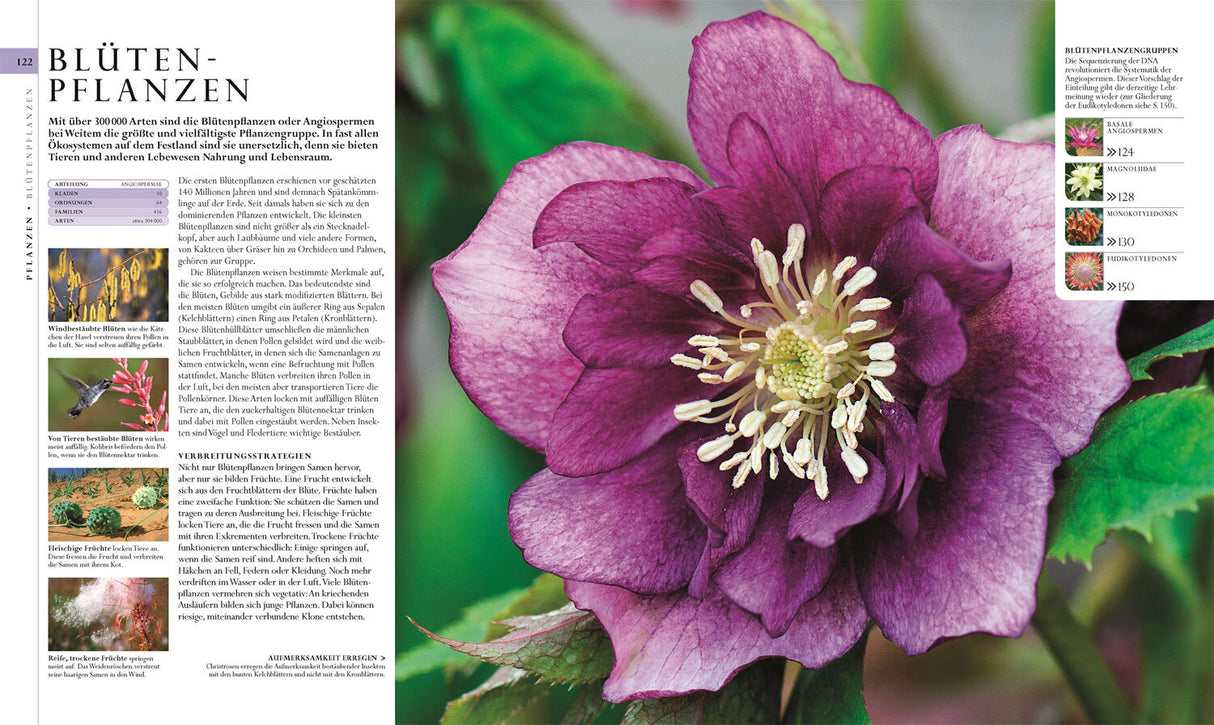 Die Natur in über 5.000 Fotos