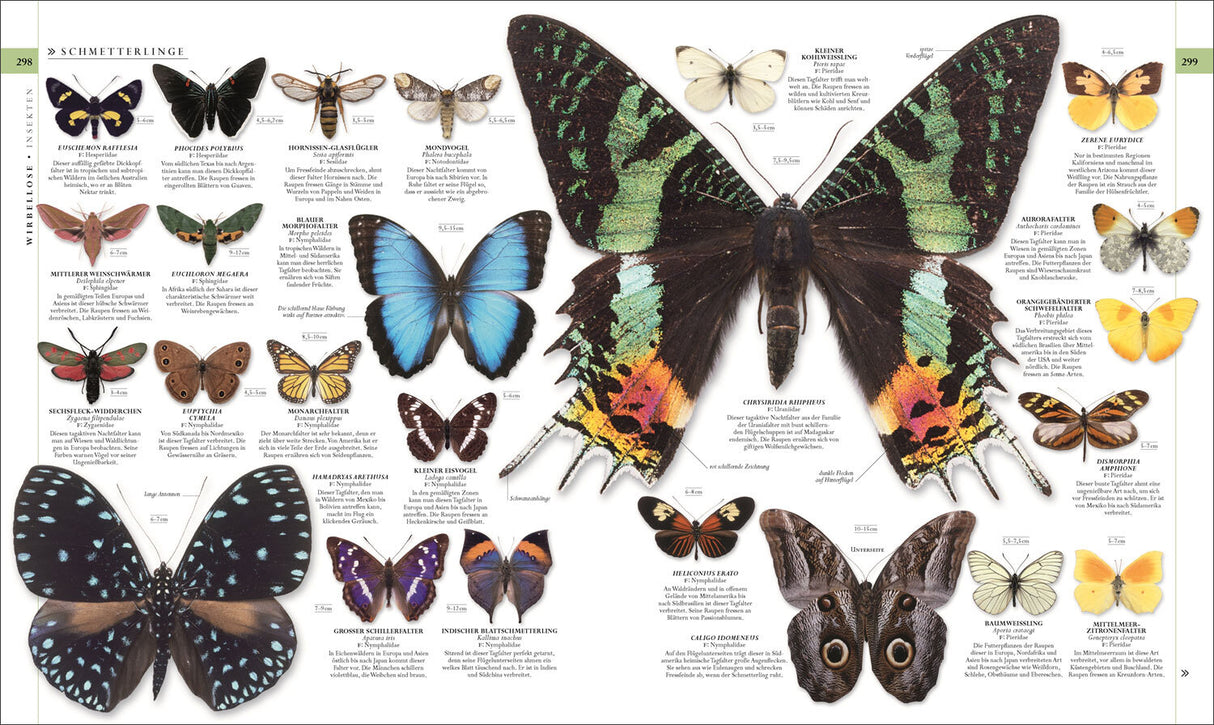 Die Natur in über 5.000 Fotos