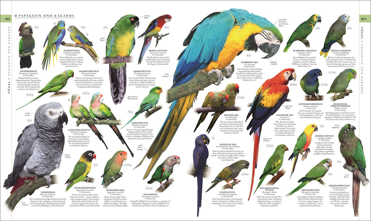 Die Natur in über 5.000 Fotos