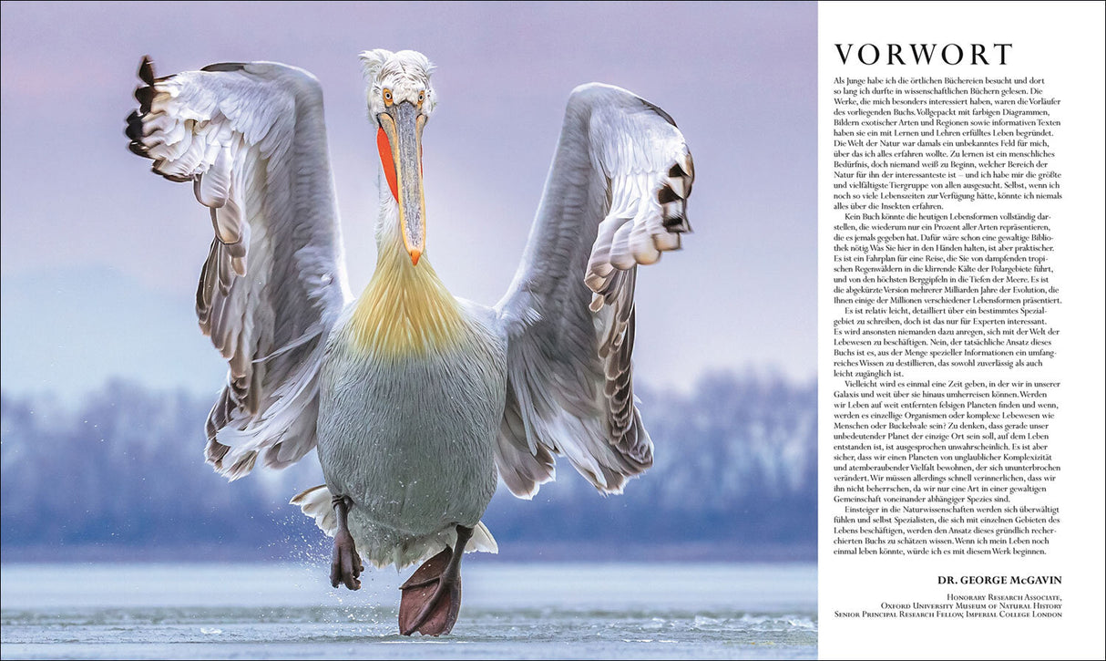 Die Natur in über 5.000 Fotos