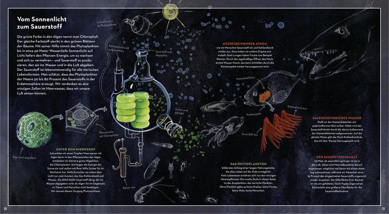 Eine Reise in die geheimnisvolle Tiefsee