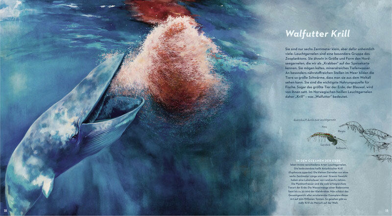 Eine Reise in die geheimnisvolle Tiefsee