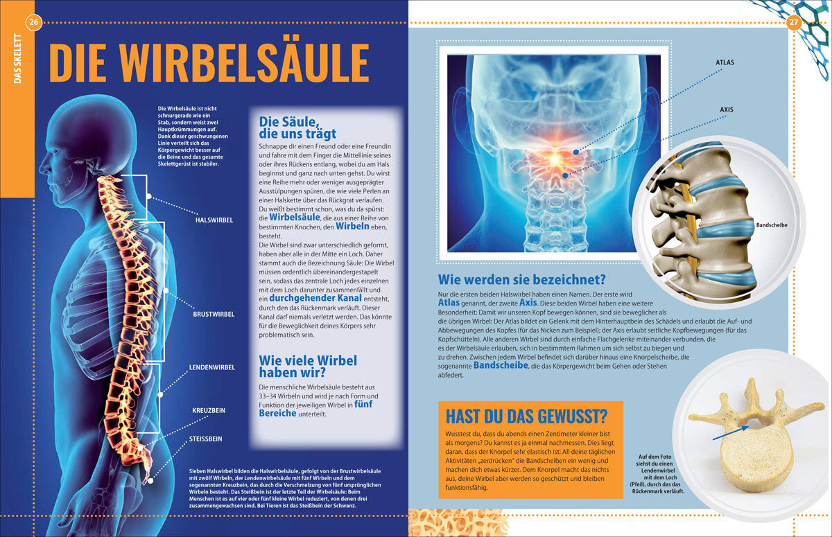 Enzyklopädie des menschlichen Körpers