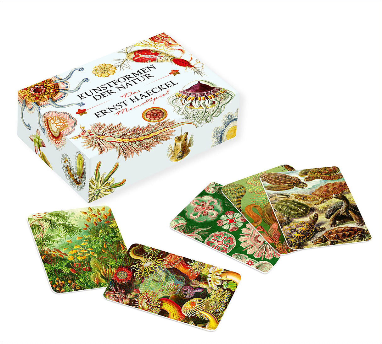 Ernst Haeckel Memo-Spiel