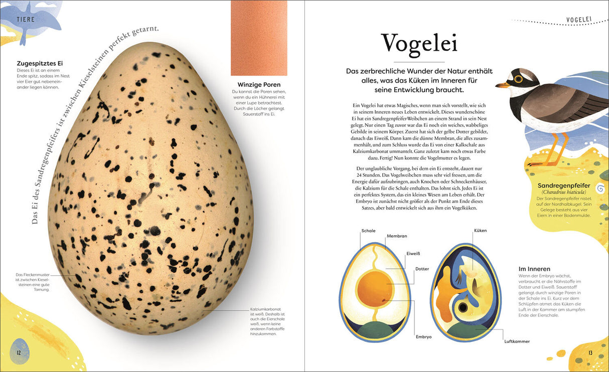 Große und kleine Schätze der Natur
