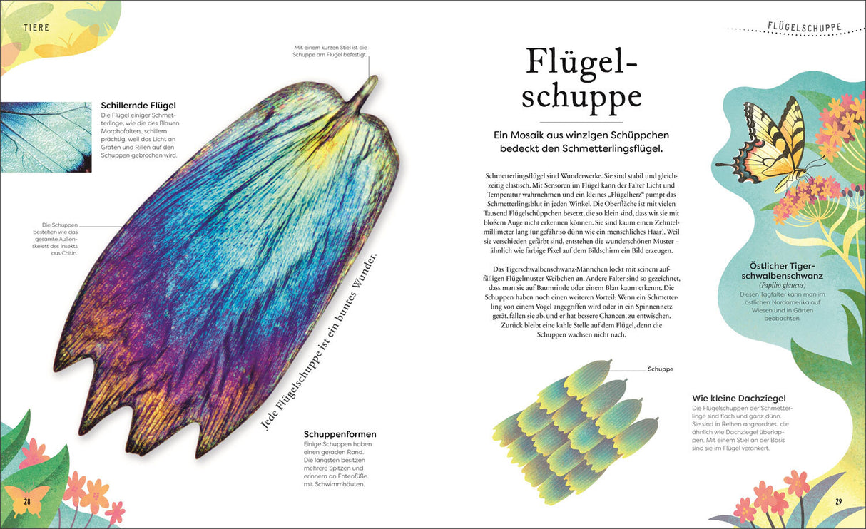 Große und kleine Schätze der Natur