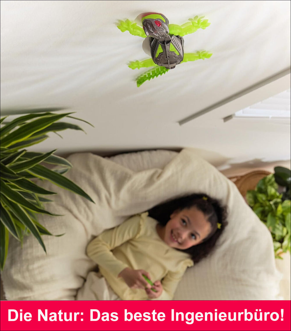 Hex Bots Wandflitzer Gecko