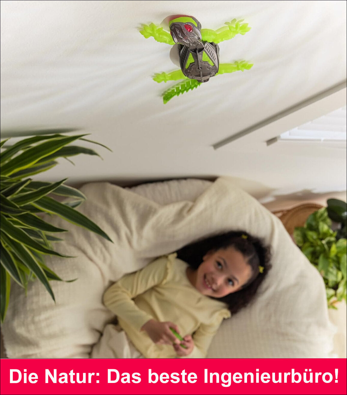 Hex Bots Wandflitzer Gecko