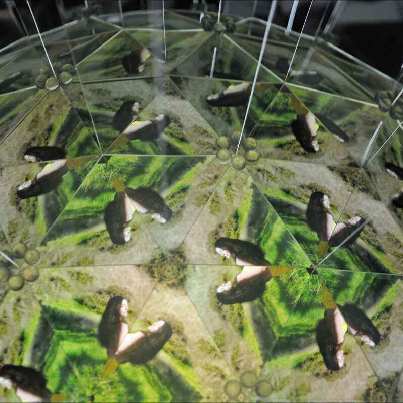 Mehrere Spiegel reflektieren eine Frau in einer grünen Landschaft, die in einem geometrischen Muster angeordnet sind.