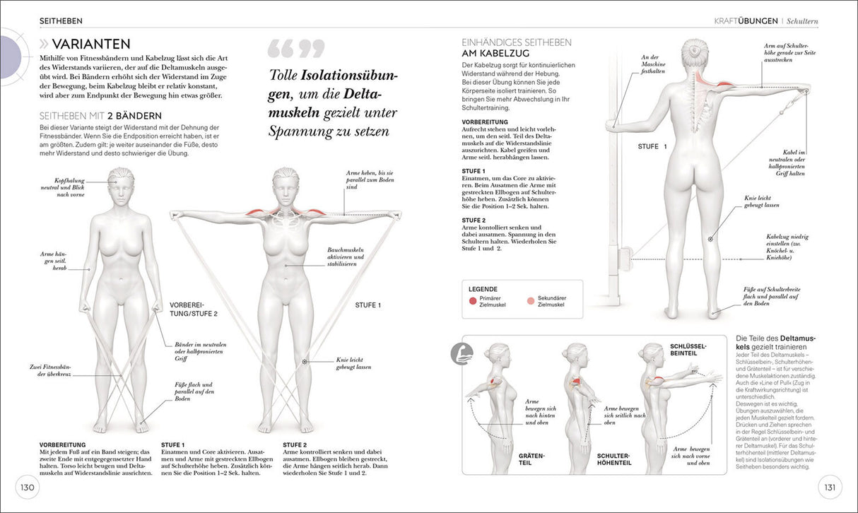 Krafttraining. Die Anatomie verstehen!