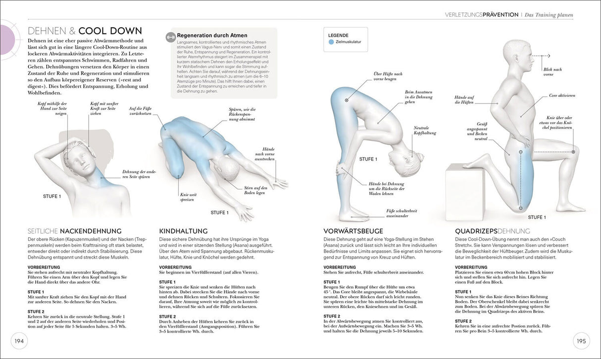 Krafttraining. Die Anatomie verstehen!