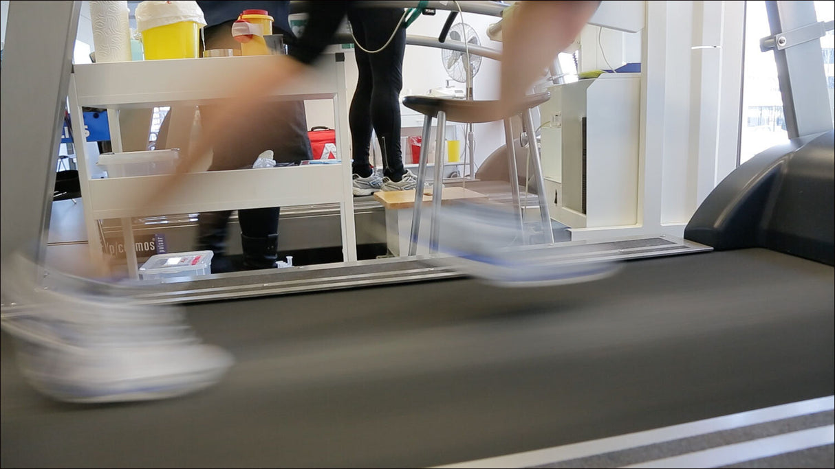 Kraftwerk Körper. DVD-Dokumentation mit Übungen!