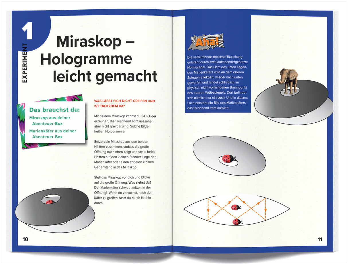 Optische Illusionen und Experimente