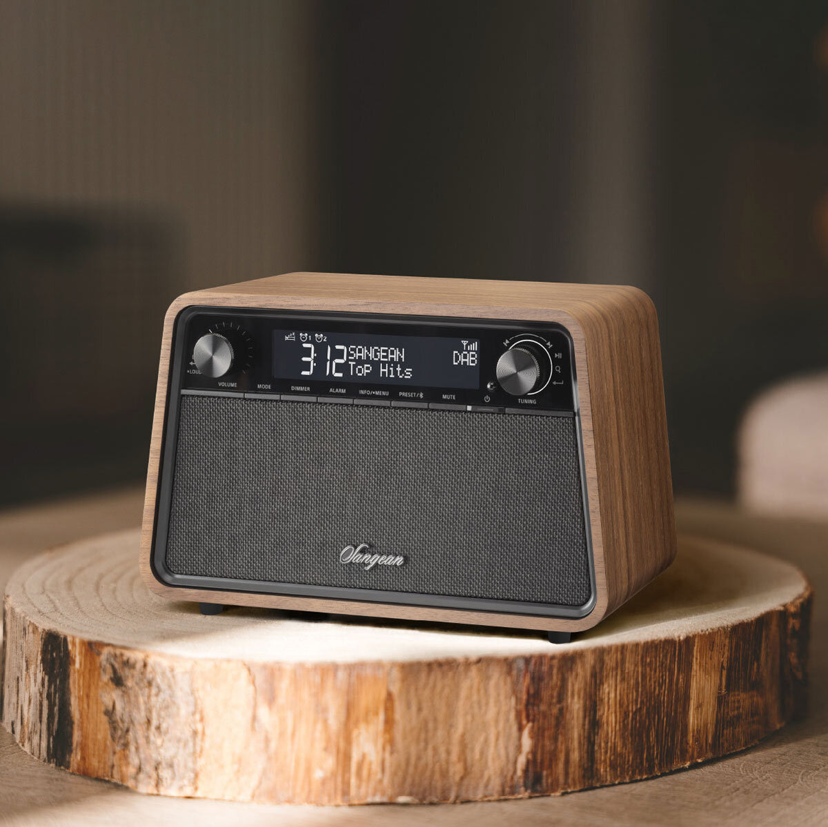 Sangean WR-201D Soundsystem Walnussholz