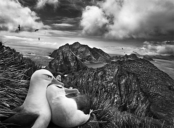 Sebastiao Salgado. Genesis