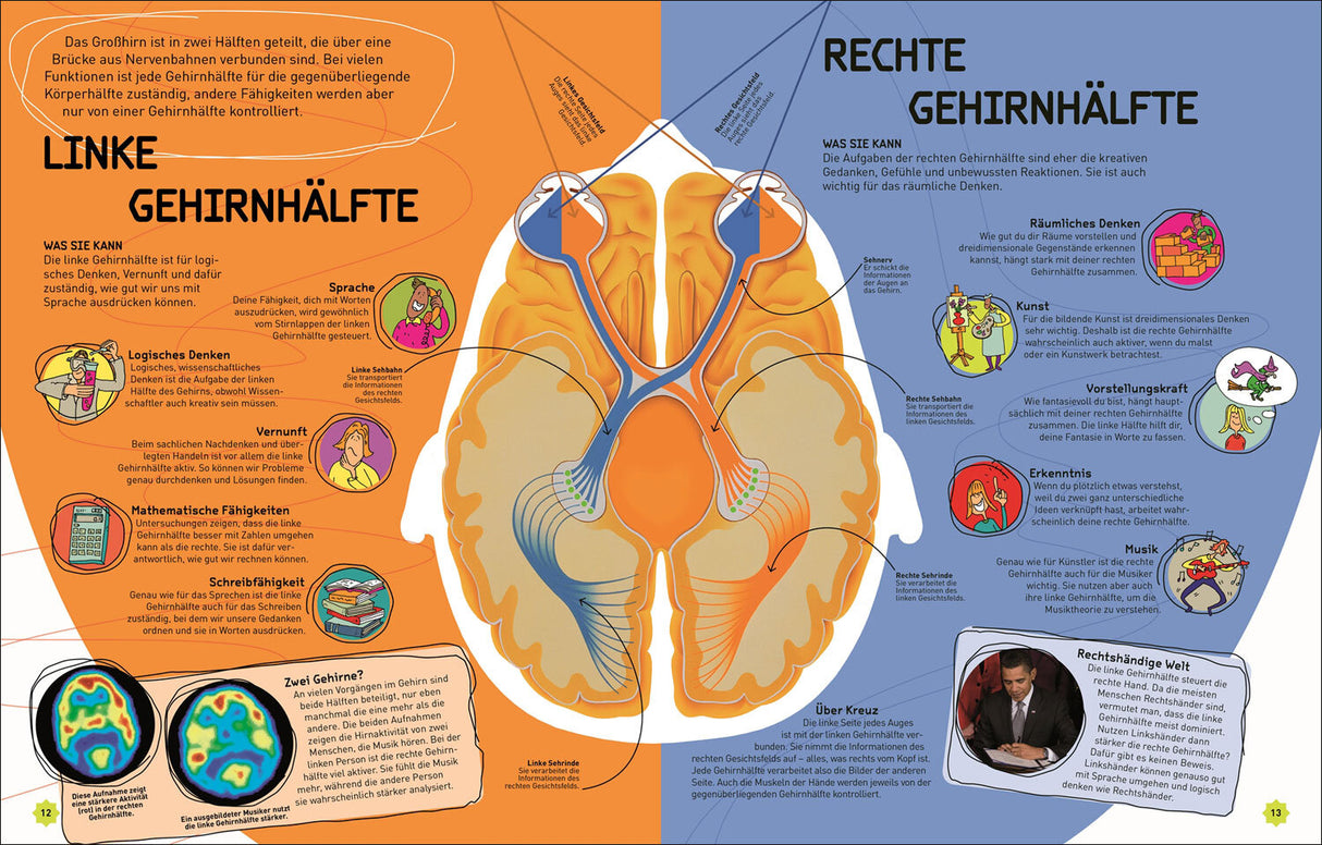So funktioniert dein Superhirn