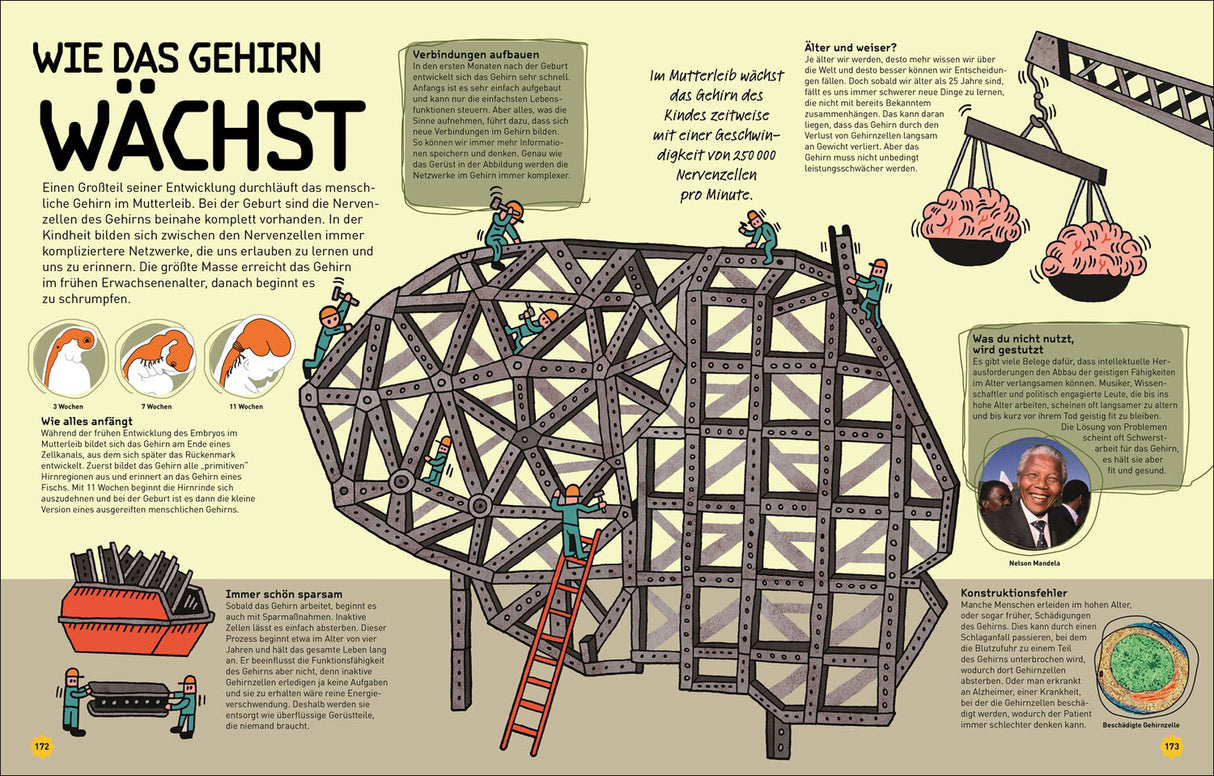 So funktioniert dein Superhirn