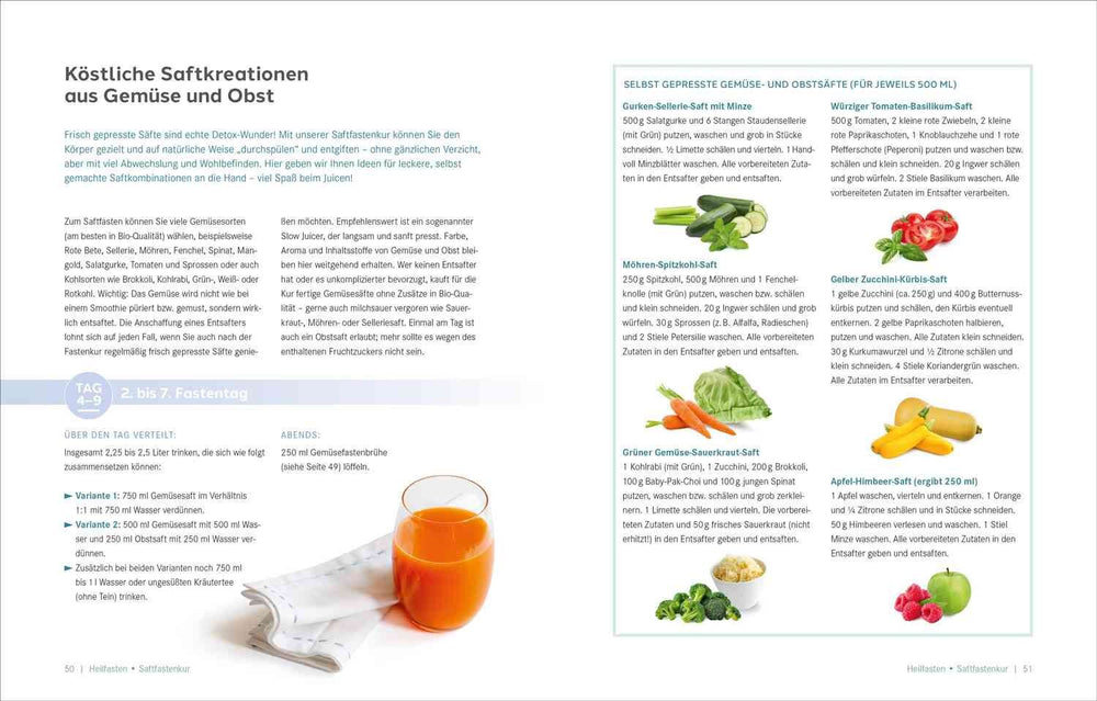 Zwei Seiten eines Kochbuchs mit Rezepten für Gemüsesäfte, Text, Bilder von Gemüsesorten und einem Glas Saft.
