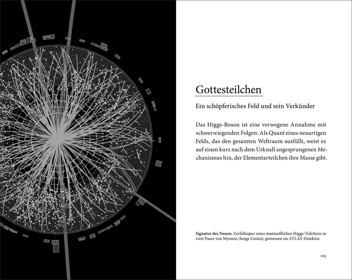 Rüdiger Vaas: Vom Gottesteilchen zur Weltformel