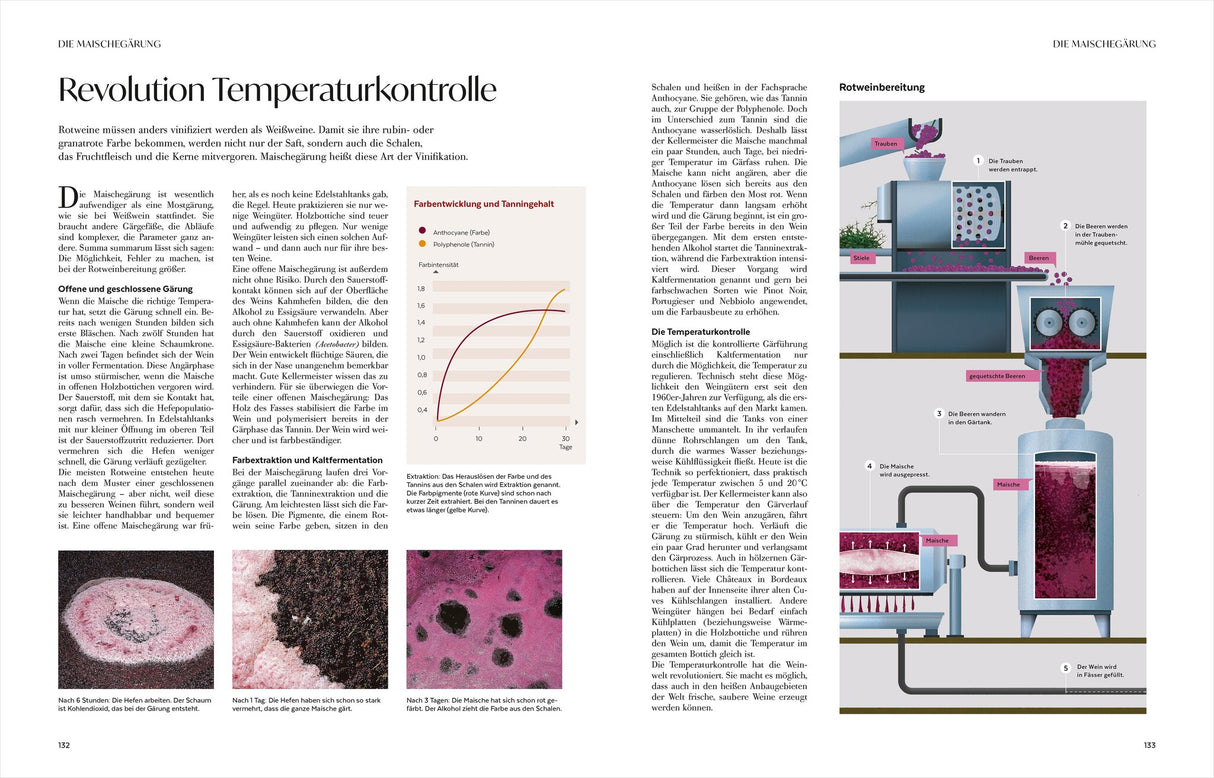 Wein – Die große Schule