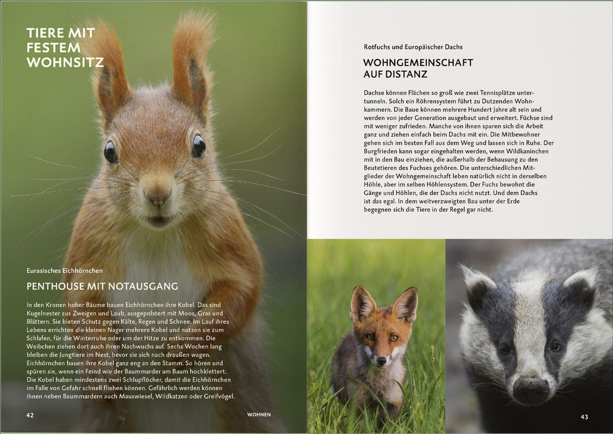 Botschaft der Wildtiere