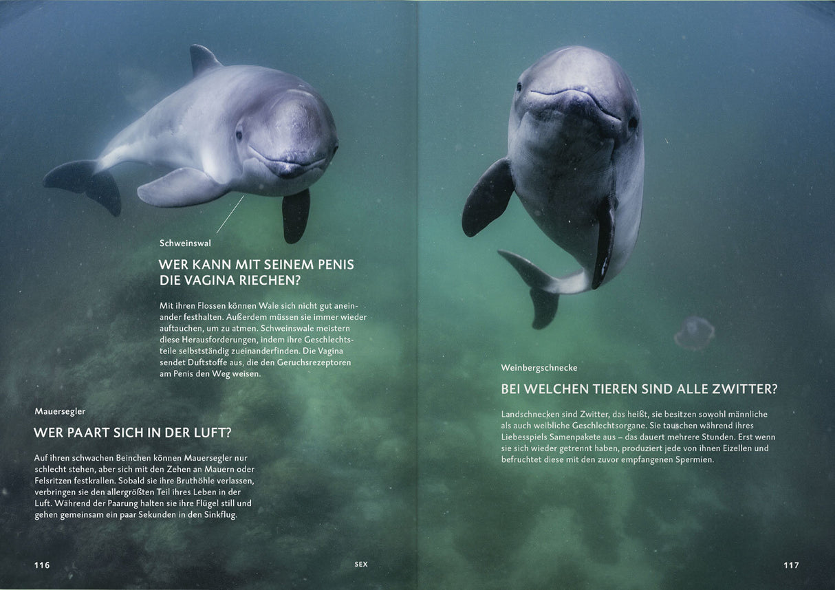 Botschaft der Wildtiere