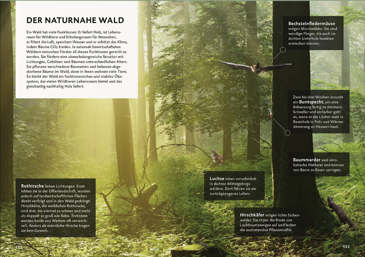 Botschaft der Wildtiere