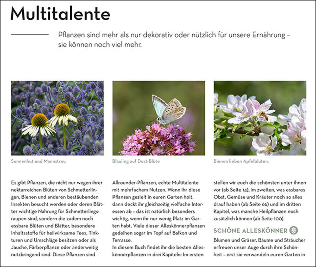 Alleskönner im Garten.