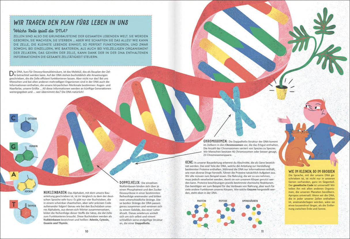 Illustration eines DNA-Strangs mit bunten Basen, Chromosomen, einer Frau mit Katze, Pflanzen und Text über DNA-Struktur.