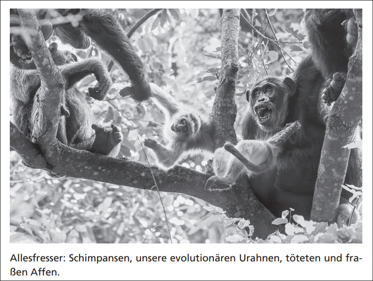 Wie die Ernährung der Welt wirklich funktioniert.