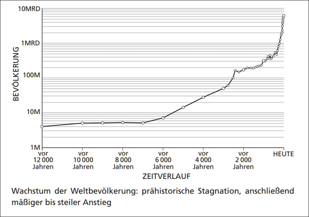 Wie die Ernährung der Welt wirklich funktioniert.