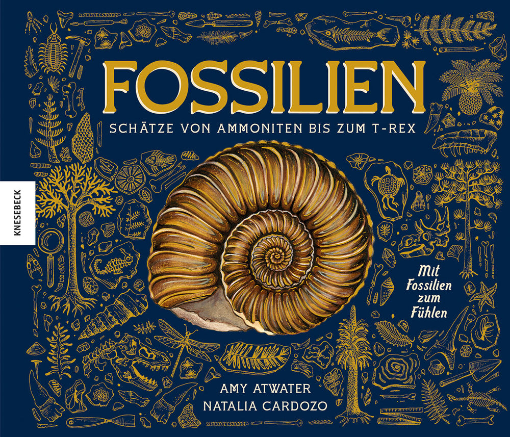 Fossilien – Schätze von Ammoniten bis zum T. Rex.
