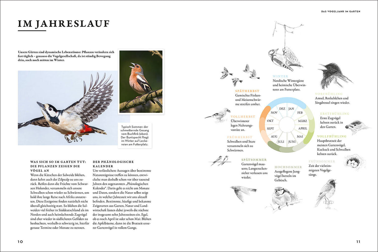 Das Buch der Gartenvögel.