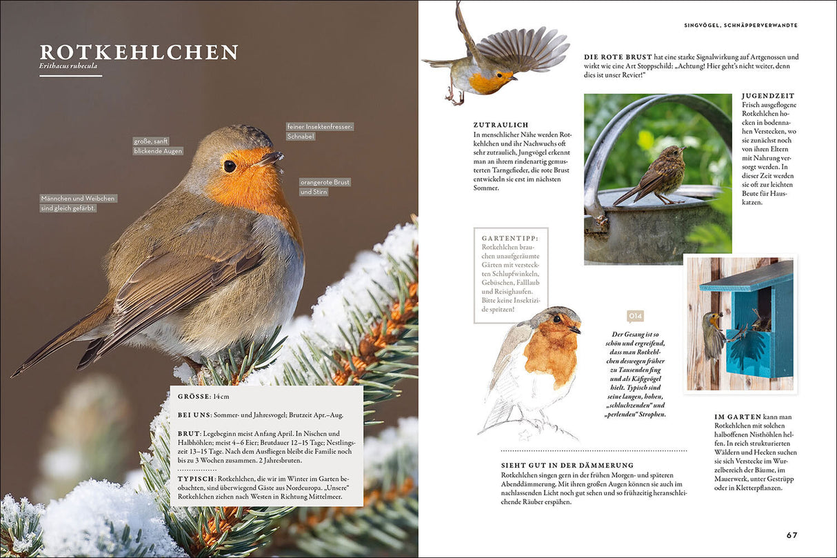 Das Buch der Gartenvögel.