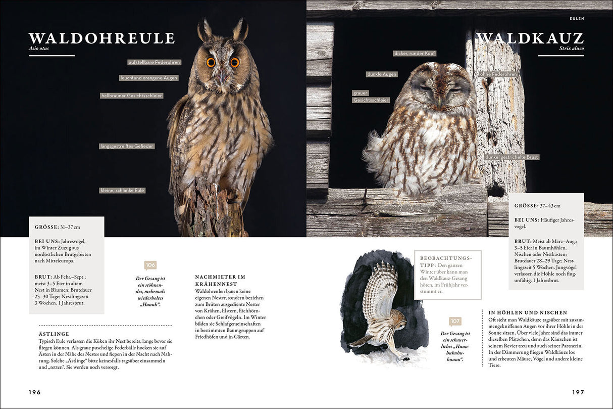 Das Buch der Gartenvögel.