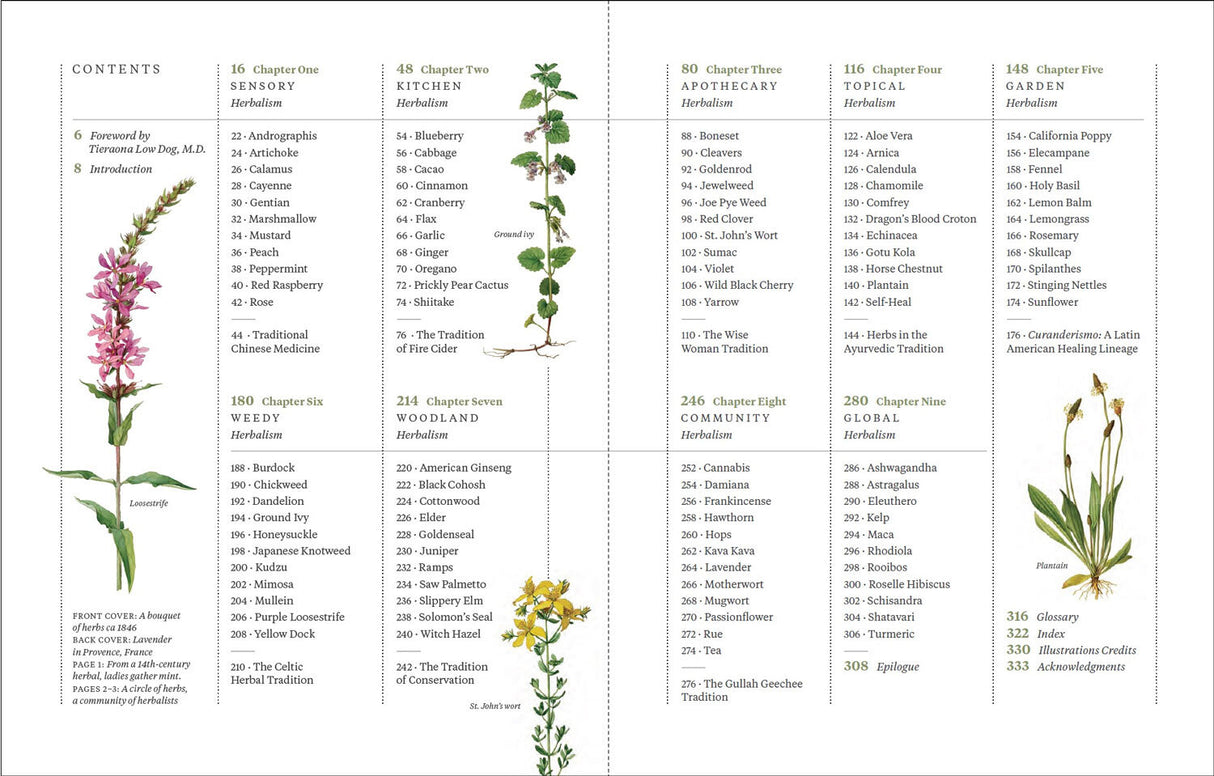 Die ganze Welt der Heilpflanzen.