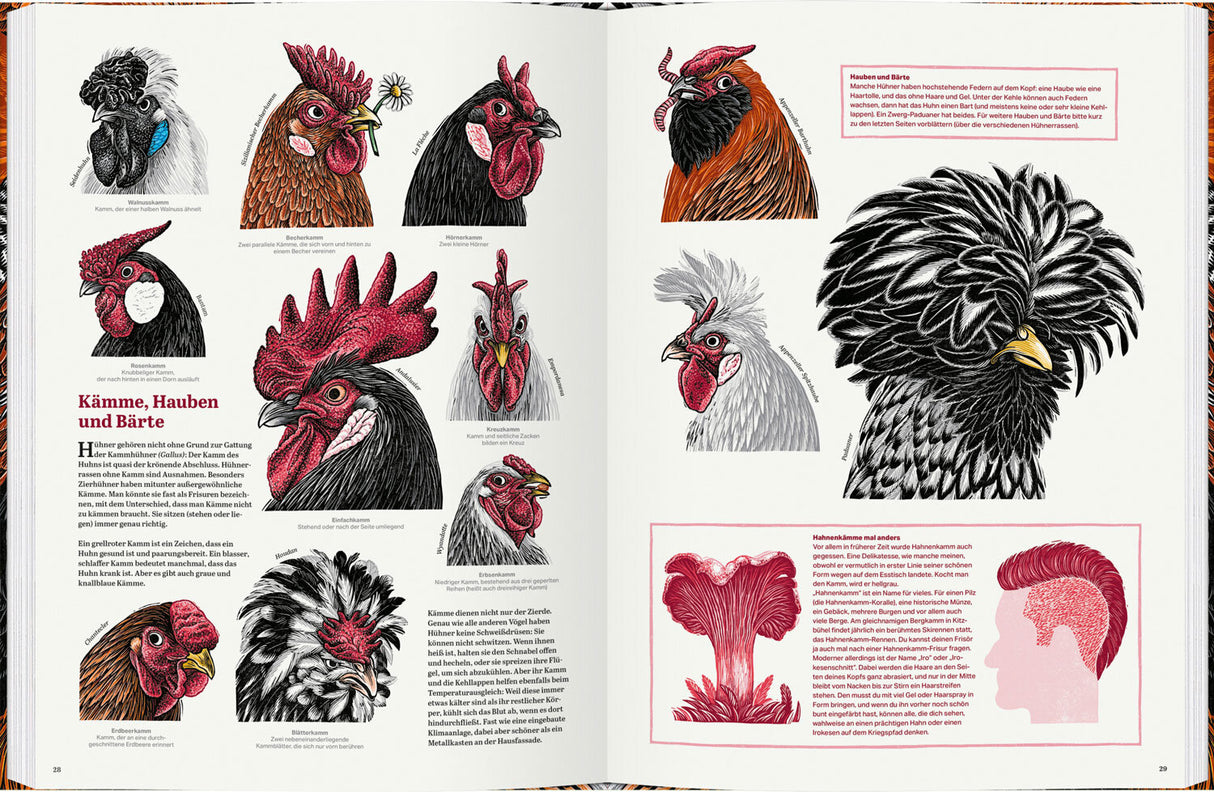 Das große Buch der Hühner.