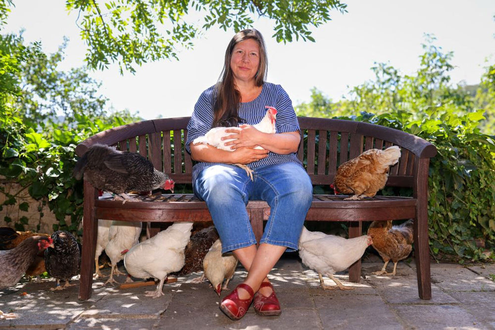 Es war einmal das Huhn.